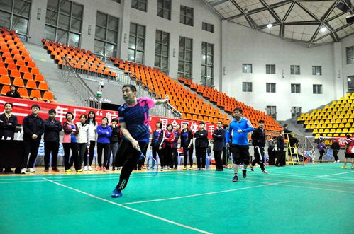 航泰杯職工羽毛球團體賽圓滿落幕，飾品銷售助力賽事氛圍